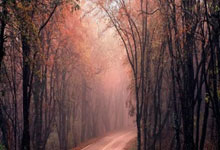 冷库安装需要什么资质和许可证办理,冷库安装需要哪些资质