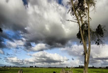 冷库安装需要什么资质和许可证办理,冷库安装需要哪些资质