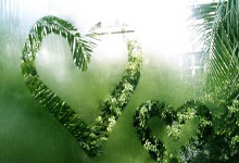 冷库安装需要什么资质和许可证办理,冷库安装需要哪些资质