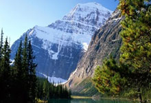 冷库安装需要什么资质和许可证办理,冷库安装需要哪些资质